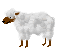羊ってやつは。。。